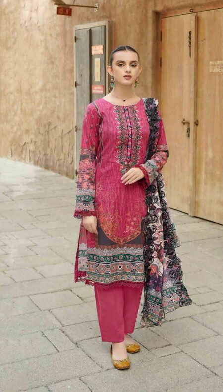 Dastaan Embroidered Airjet Stitched Lawn - D9