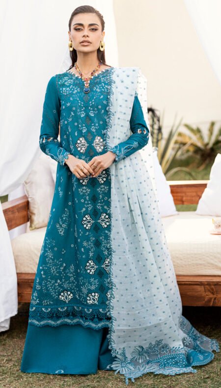 Qalamkar Eid Collection - Chikankari Lawn 2025 - CS-07